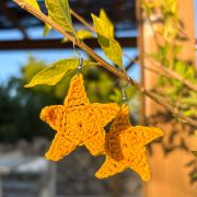 Star Earrings