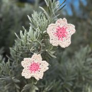 Sakura Earrings