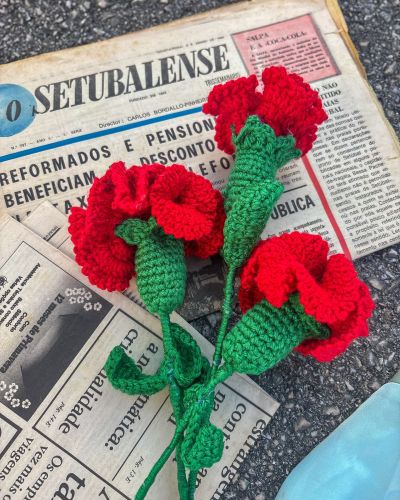 Carnation crochet flower
